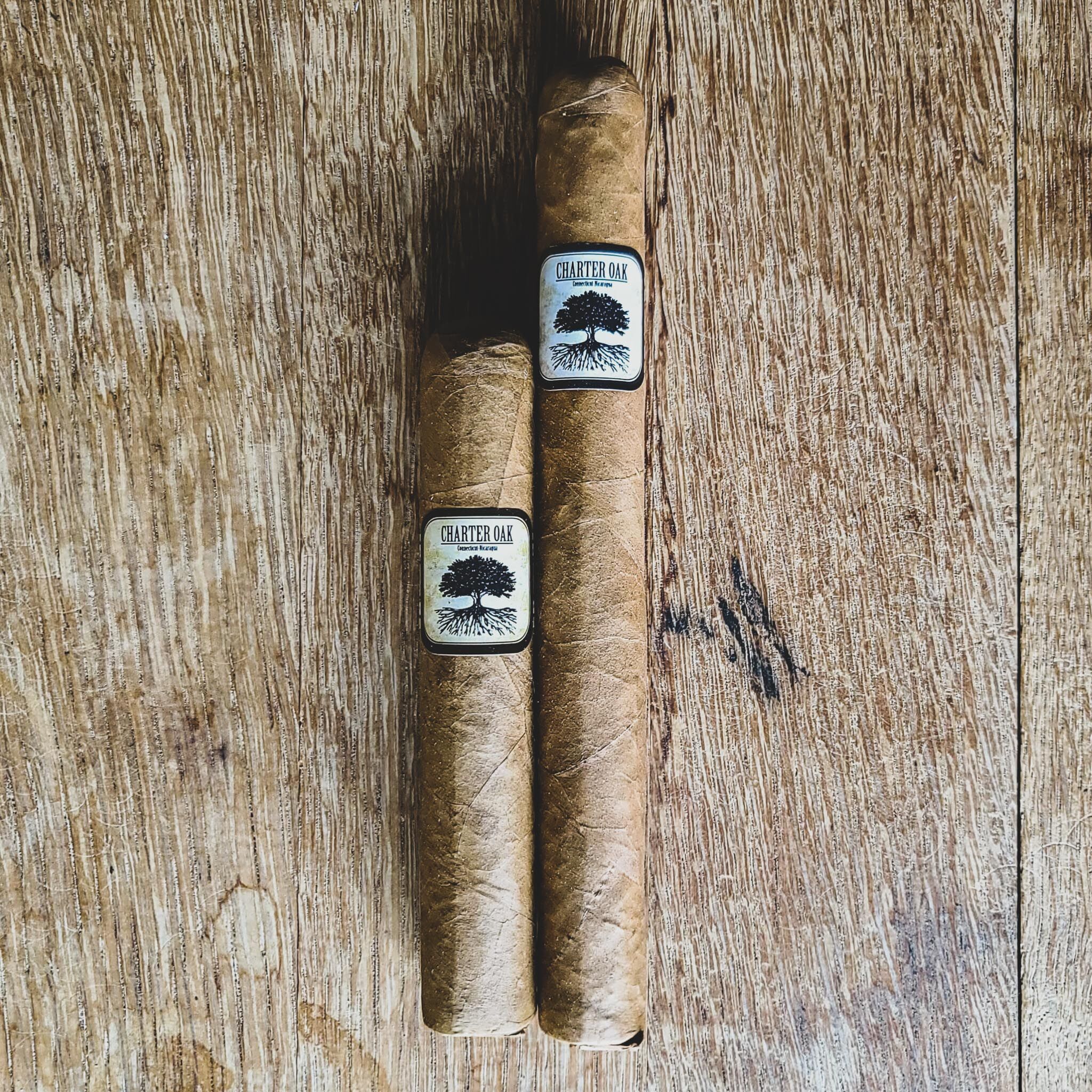 Foundation Cigars Charter Oak Connecticut Shade