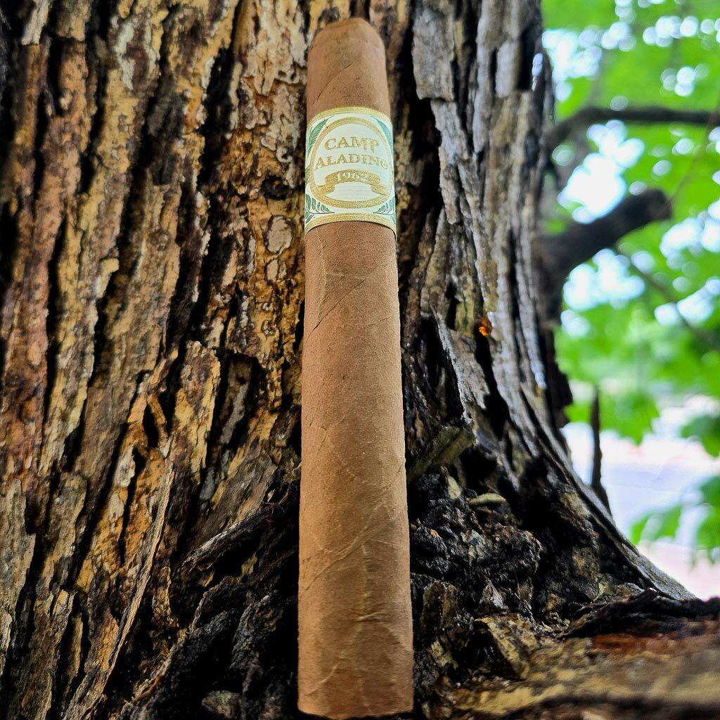 JRE Aladino Camp Aladino 1962 Toro cigar propped against rough tree bark outdoors showing Camp Aladino 1962 band and natural Honduran wrapper in natural light at Smokers Abbey Austin
