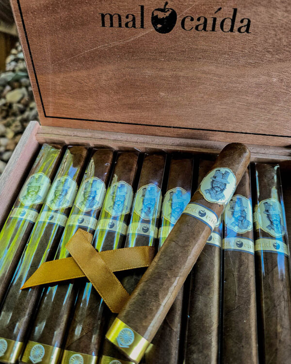 Caldwell Crafted & Curated Mal Caida Box Pressed Toro – 10 Count Box