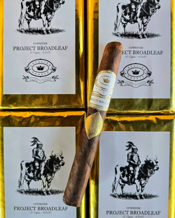 Cavalier Geneve Project Broadleaf Cowrider Cigar on Gold Wrapped Bundles