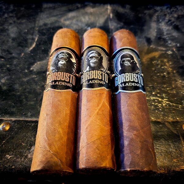 JRE Aladino Gorbusto Gori, Chimp, and Orang cigars standing upright on a dark leather trunk showing gold, silver, and blue band details and three distinct wrapper shades at Smokers Abbey Austin