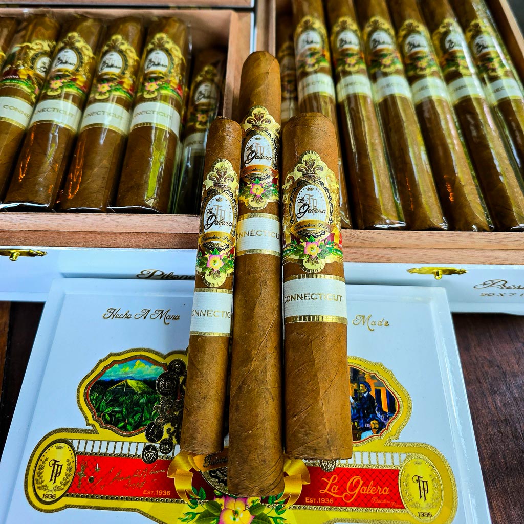 Three La Galera Connecticut cigars standing upright in front of open La Galera Connecticut 20-count boxes displayed in the humidor at Smokers Abbey Austin