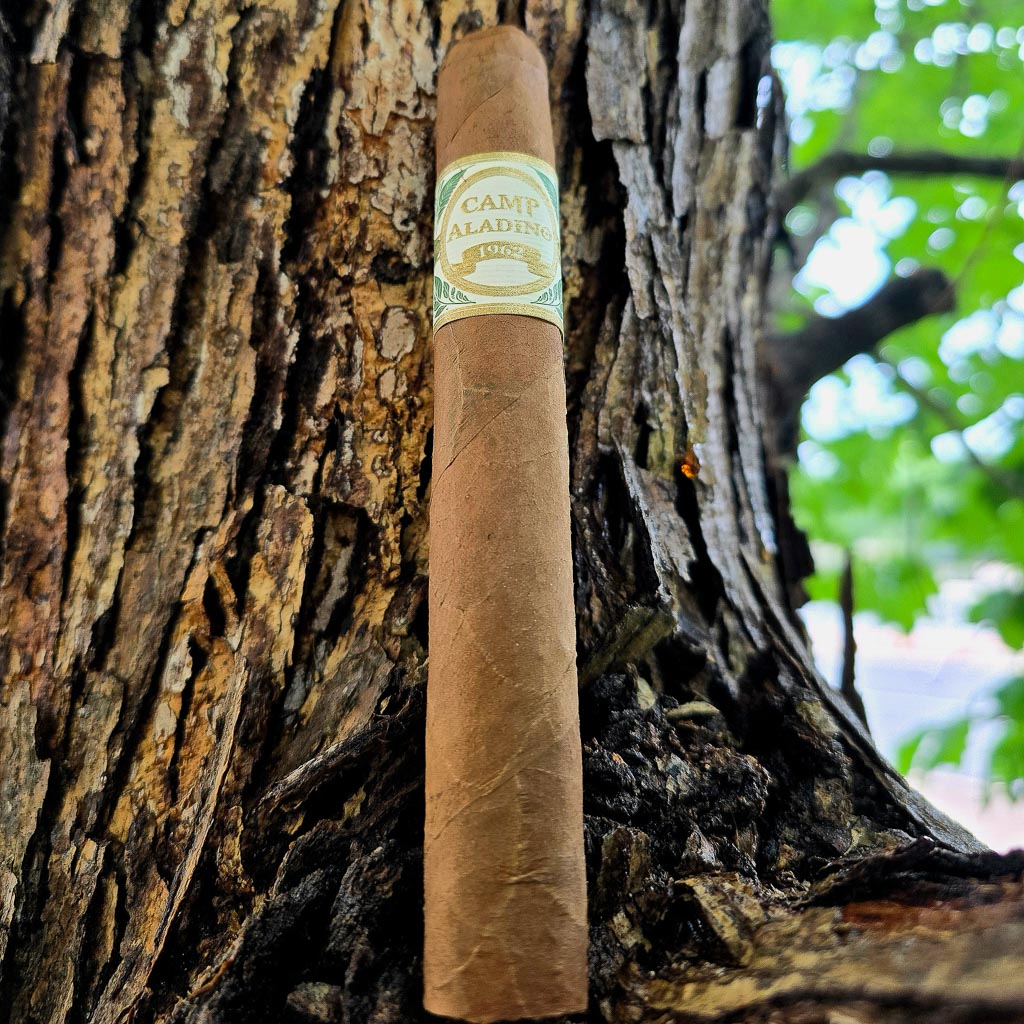 JRE Aladino Camp Aladino 1962 Toro cigar propped against rough tree bark outdoors showing Camp Aladino 1962 band and natural Honduran wrapper in natural light at Smokers Abbey Austin