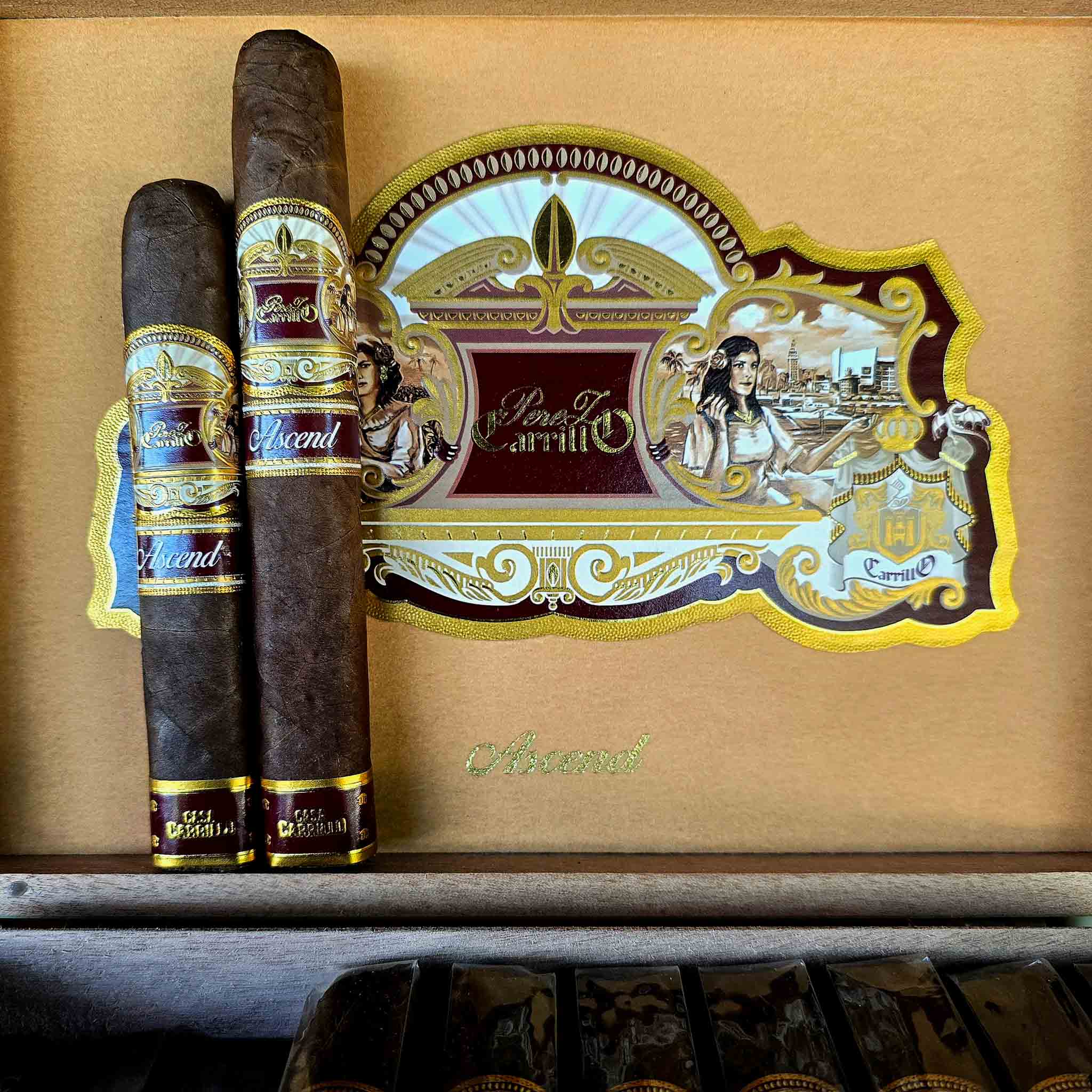 Casa Carrillo Ascend Saddle and Ridge cigars standing upright against the open tan and gold Ascend box with ornate Casa Carrillo artwork at Smokers Abbey Austin